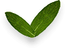 image-06-free-img.png image-06-free-img.png